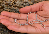 Schlangenkette 1 mm - dunkel - Silber