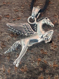 Pegasus 122 mit Panzerkette - Edelstahl