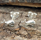 Ohrstecker 48 Wal - Silber