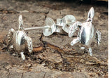 Ohrstecker 50 Schildkröte - Silber